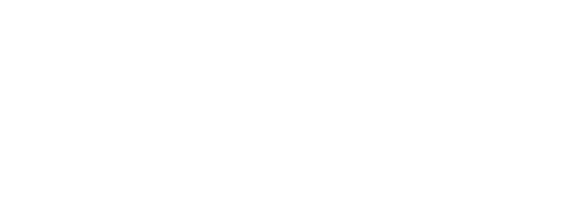 Envari Logo no tagline